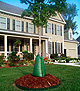 Treegator® Original filled around tree on top of red mulch in front of residential home