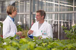 Two scientists in white lab coats talking inside a greenhouse surrounded by plants